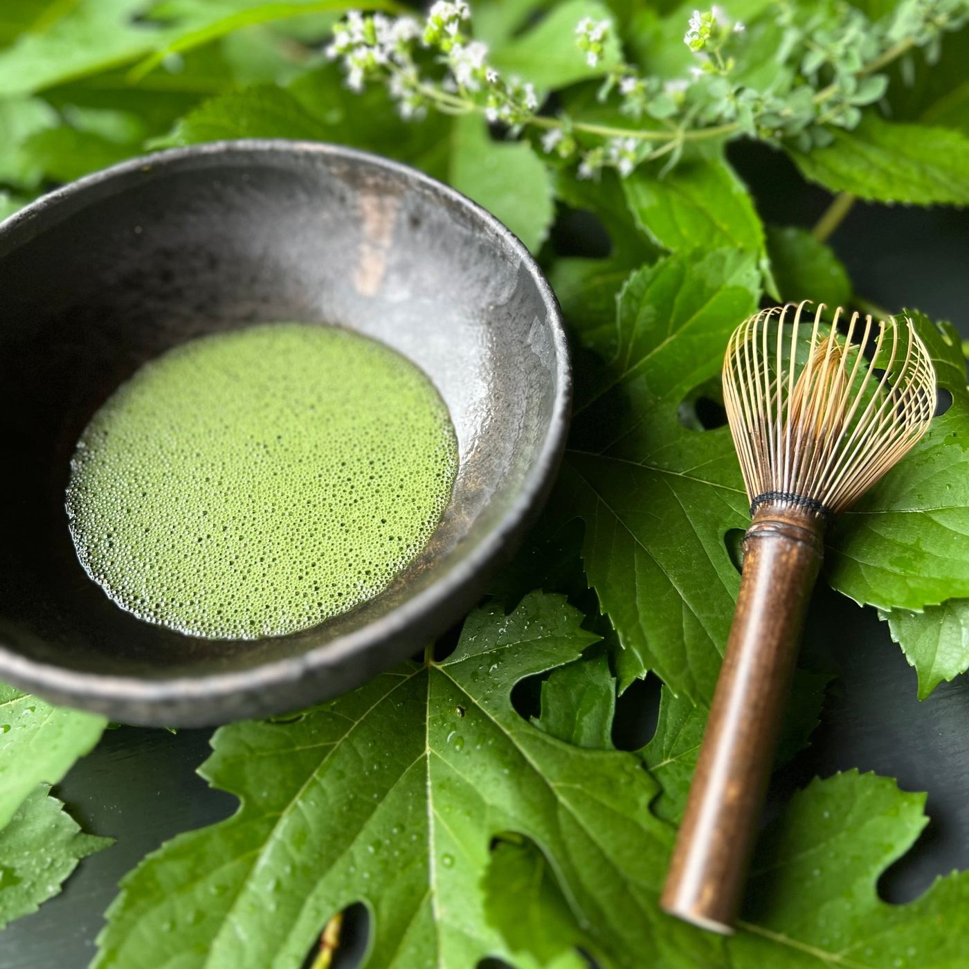 A bowl of whisked Mulberry Matcha on mulberry leaves