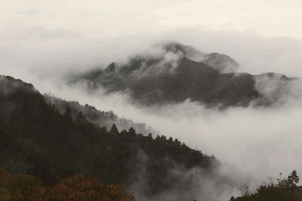 Mist over forested mountains in Japan