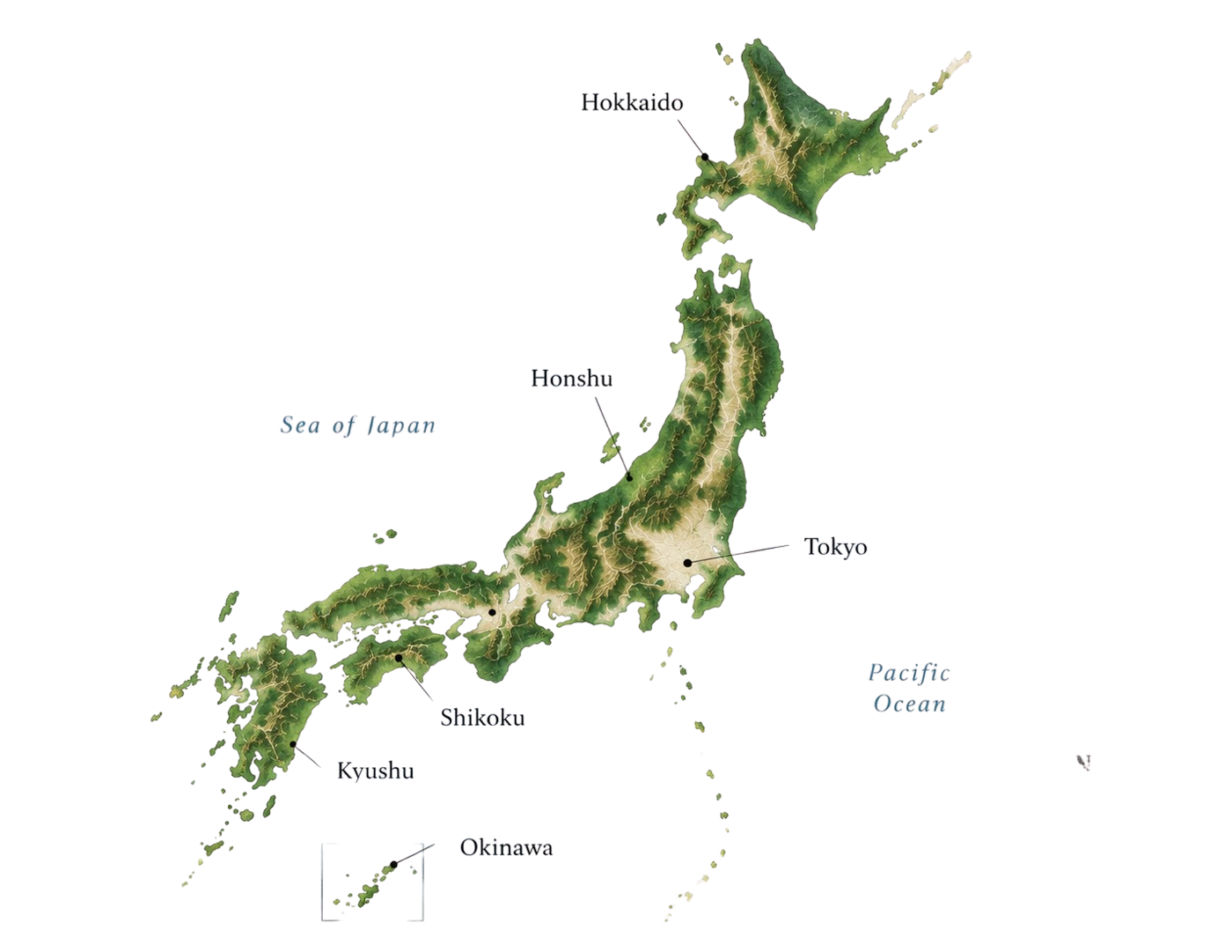 Relief map of Japan