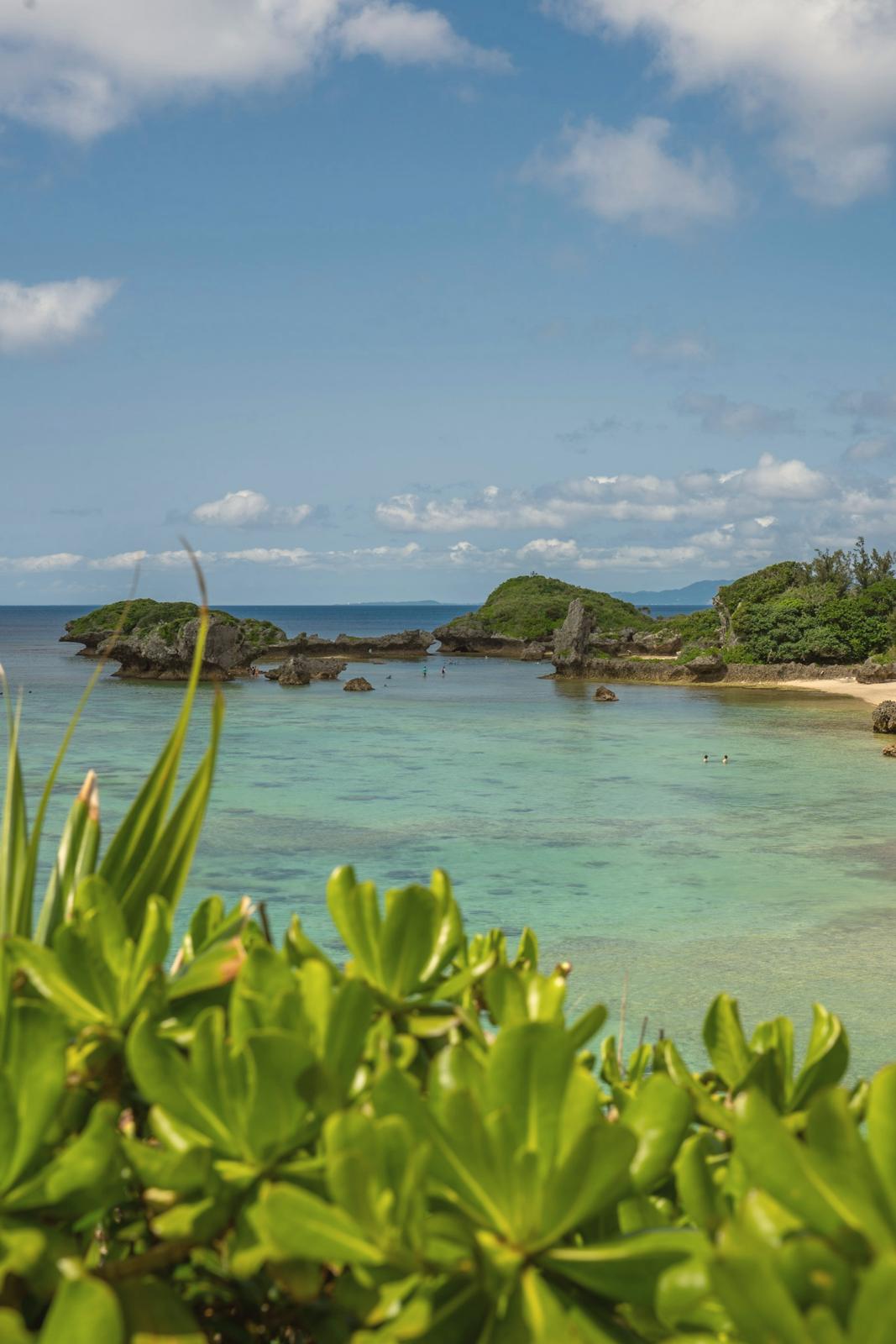 A clear subtropical cove in Okinawa